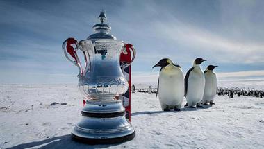 عدسة الكاميرا.. كأس الاتحاد الإنجليزي في رحلة إلى القطب الجنوبي!