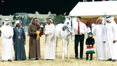 5 ذهبيات وفضيتان وبرونزية لخيول عمار النعيمي في قطر