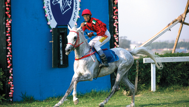 «سلطان حمدان» بطل كأس رئيس الدولة للخيول العربية