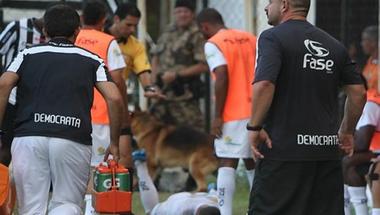 عدسة الكاميرا | نقل مهاجم برازيلي إلي المستشفي بسبب «عضة كلب»