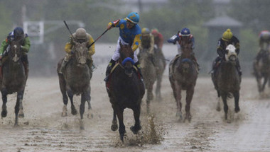 “الفرعون الأمريكي” يفوز بسباق بريكنيس للخيول