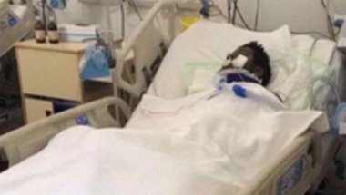 شقيق سعود حمود ينفي وفاته ويؤكد: حالته مستقرة - فيديو - صحيفة صدى الإلكترونية