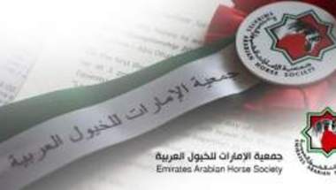 دولة الإمارات العربية المتحدة تناقش مستقبل سباقات الخيول العربية