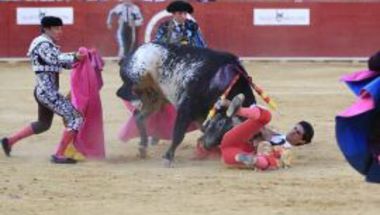 بالفيديو: وفاة مصارع الثيران باريو داخل الحلبة