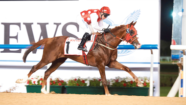 «أر بي تورش» يدشن انتصارات الخيول العربية في ميدان