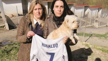 رونالدو يساهم في إنقاذ حياة 80 كلبا