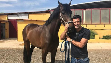 فيغو يضيف حصان جديدا لمزرعته في البرتغال