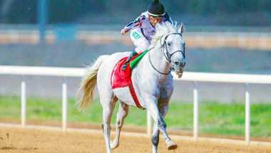 غداً.. انطلاق السباق الدولي للخيول العربية على كأس سلطان