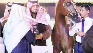 الكل فائز في بطولة العرب للخيول الأصيلة